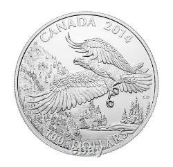 $100 2014 MAJESTIC BALD EAGLE 1OZ Pure Silver Proof Coin Canada