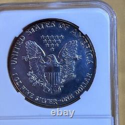 1987 Silver Eagle. Vivid Toning. See Pictures