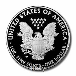 2010 USA American Proof Silver Eagle Mint Box and COA