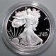 2011 W American Silver Eagle Proof Coin Only No Box 1os Fine Silver 25th Ann