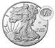 2020 World War Ll 75th Anniversary American Eagle Silver Proof Coinpre-sale