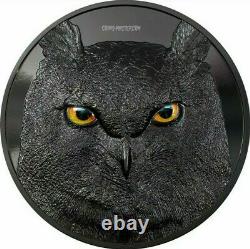 2021 2 Oz BLACK PROOF Silver $10 Palau EAGLE OWL Hunters By Night Coin