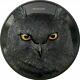 2021 2 Oz Black Proof Silver $10 Palau Eagle Owl Hunters By Night Coin