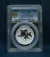 2021 Wedge Tailed Eagle Enhanced High Relief Reverse Proof Pcgs Pr70