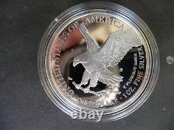 2021 s silver proof American Eagle type 2 (21EMN)