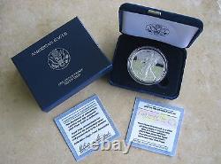 Complete Your Heraldic Silver Eagle Proof Set 2009 Proofed DC Silver Eagle