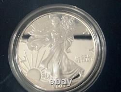 Lot Of 2 American Silver Eagle Silver Dollars 2003 1995 Uncirculated USA Mint