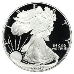 1995-w Silver Eagle 1 $ Ngc Pr 69 Ucam La Clé De La Série