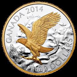 2014 Canada 20 $ Aigle Chauve Perché 1 Oz Pure Silver Proof Gold-plate Coin