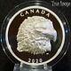 2020 Proud Bald Eagle 25 $ Ehr Extra High Relief Head Proof Silver Coin Canada