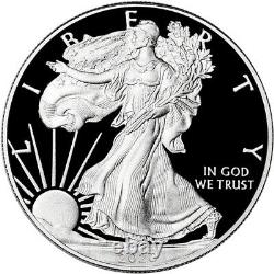 2020 W American Silver Eagle Proof (20ea) En Ogp