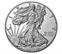 2020-s Silver Eagle Proof $1 Ogp Withcase & Coa Free Shipping