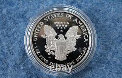 Aigle d'argent américain 2002-W Gem DCAM Proof B0753