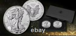 American Eagle 2021 1oz 21xj Silver Inverser Proof Two-coin Set Designer Edition