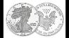 Silver Eagle 1 Oz Bullion Coins Histoire Mintage Et Ceux Qui Valent De L’argent Bon